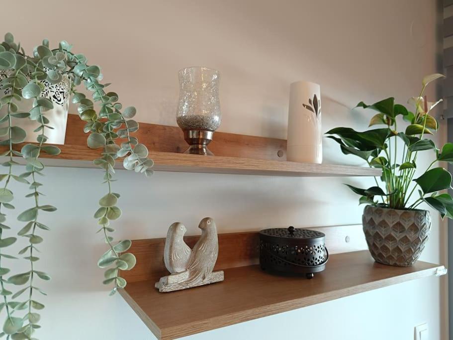 Sotherm *